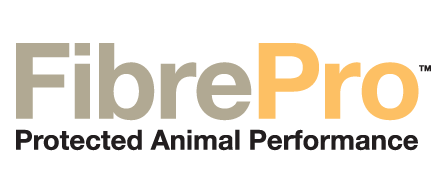 FiberPro