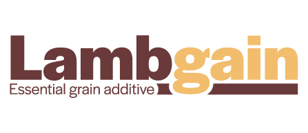 Lambgain